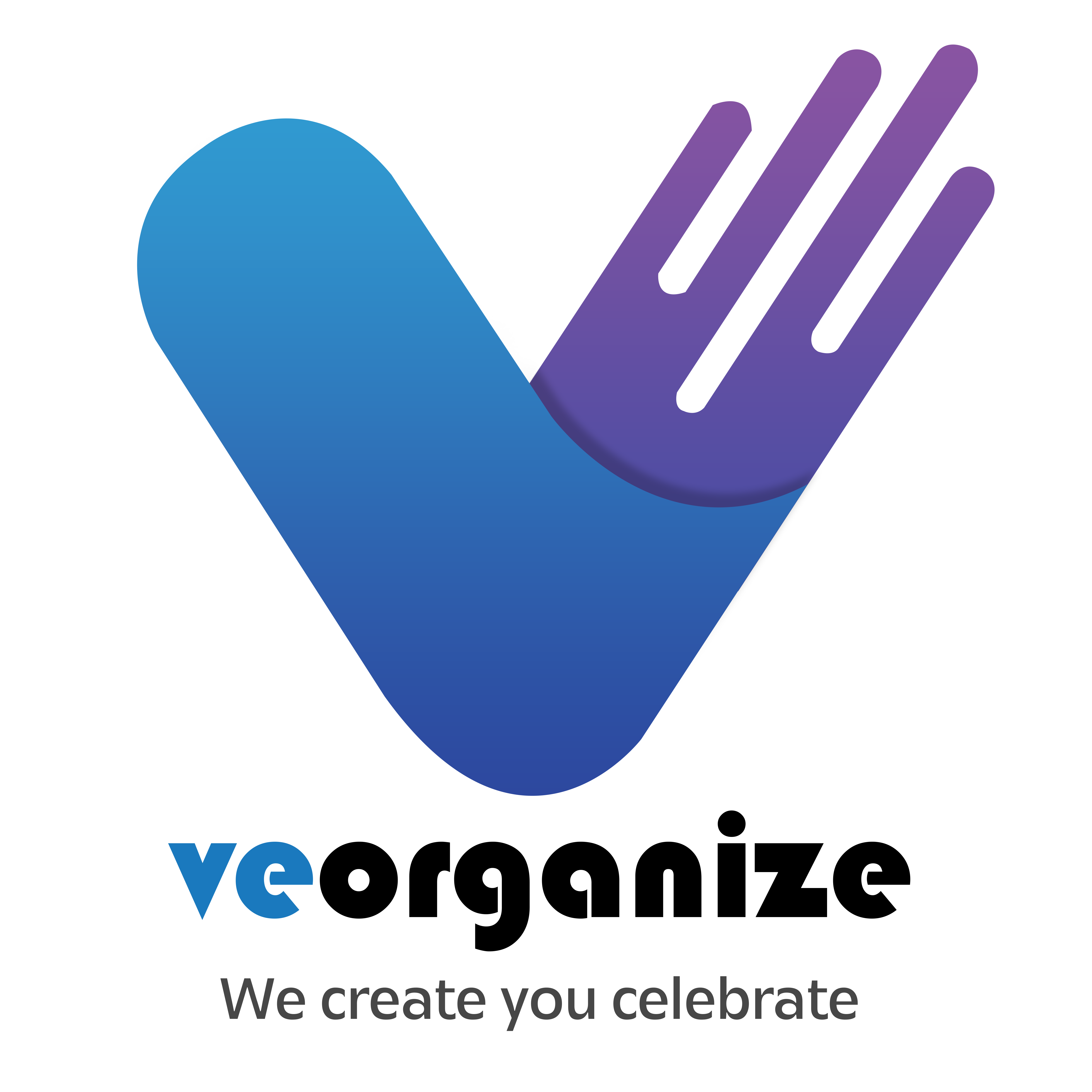 VeOrganize